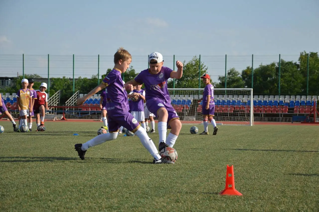 Тренировочное поле Fastball